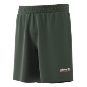 Adidas Short de Sport Adventure Vert Regular Fit HF4768