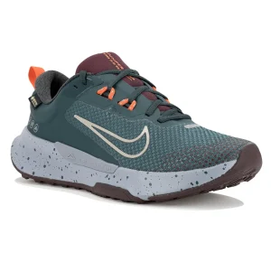 Chaussure Nike Juniper Trail 2 Gore-Tex FB2067-300