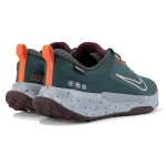 Chaussure Nike Juniper Trail 2 Gore-Tex FB2067-300