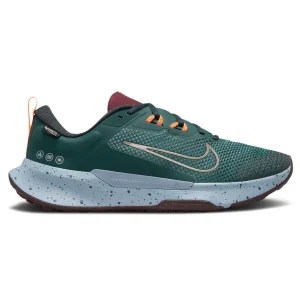 Chaussure Nike Juniper Trail 2 Gore-Tex FB2067-300