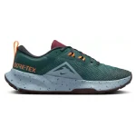 Chaussure Nike Juniper Trail 2 Gore-Tex FB2067-300