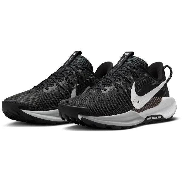Chaussures Nike Pegasus Trail 5 DV3864-001
