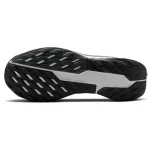 Chaussures Nike Pegasus Trail 5 DV3864-001