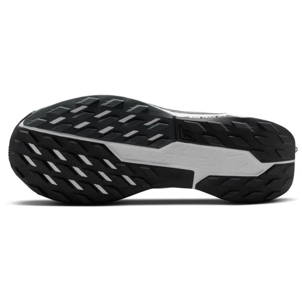 Chaussures Nike Pegasus Trail 5 DV3864-001