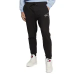 Pantalon jogging Tommy Jeans Signature DM0DM15809 Noir Regular Fit